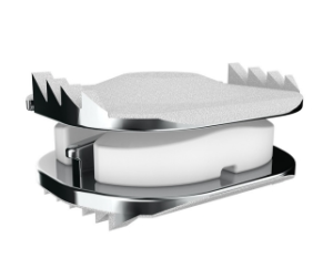 Mobi-C-Cervical-Disc-300x243